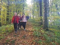 Zloty Lisc 2021 (51)